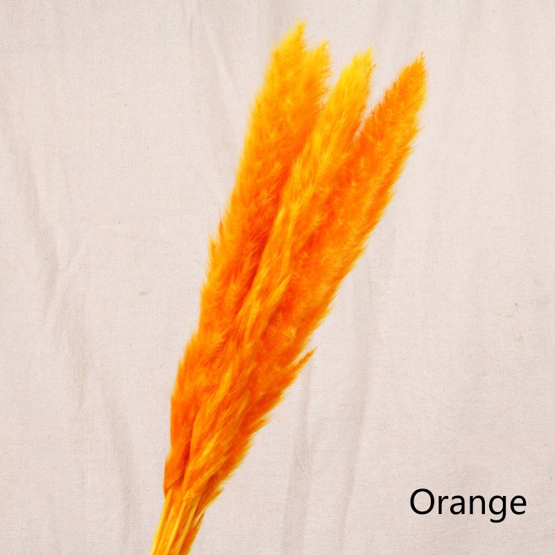 Dried Flower Home Decoration