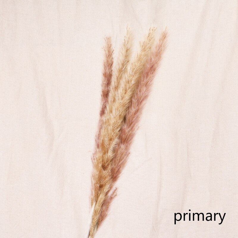 Dried Flower Home Decoration