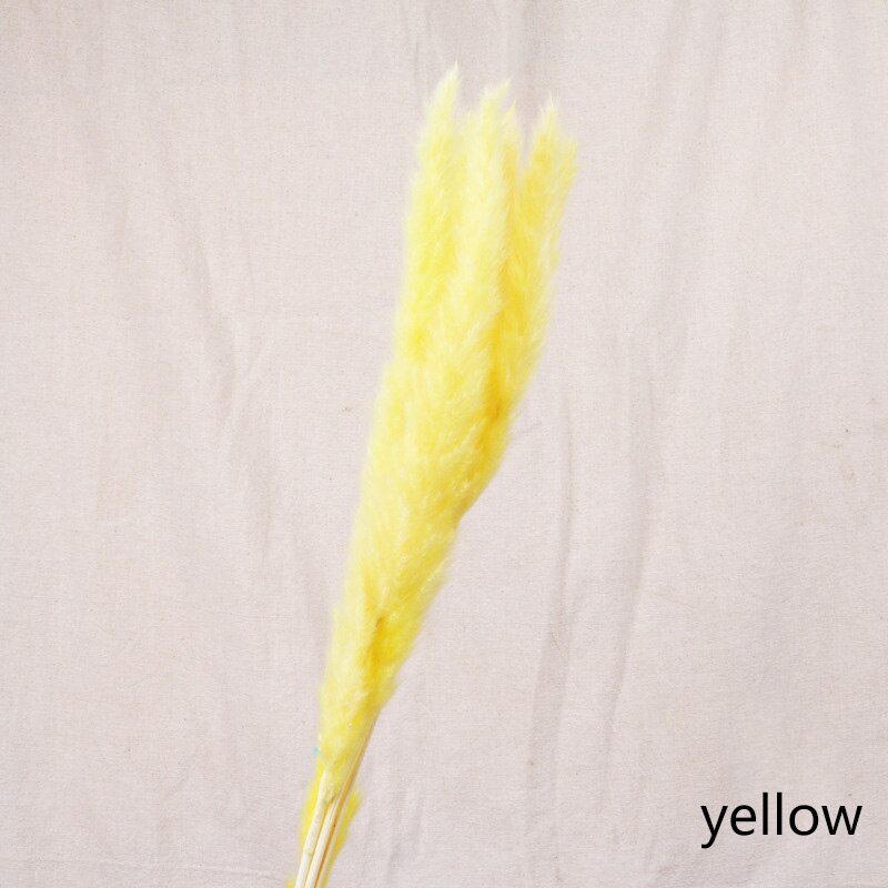 Dried Flower Home Decoration