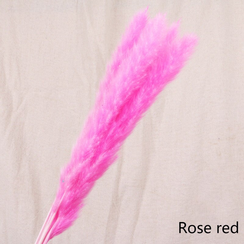 Dried Flower Home Decoration