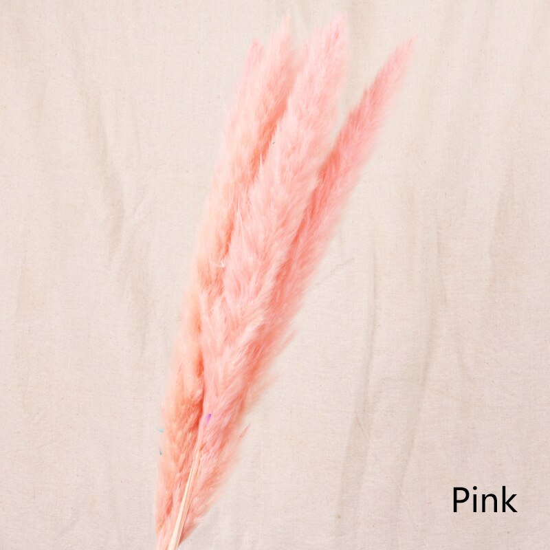 Dried Flower Home Decoration