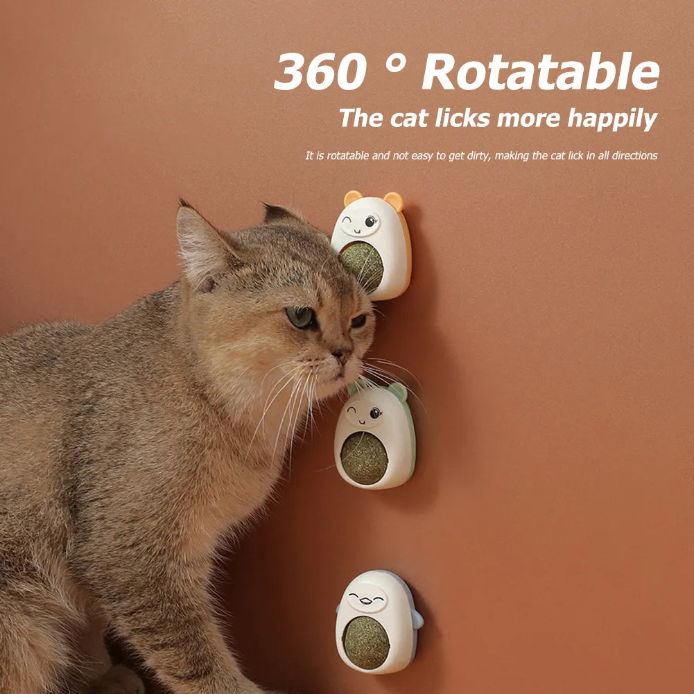 Plastic Catnip Ball Toy