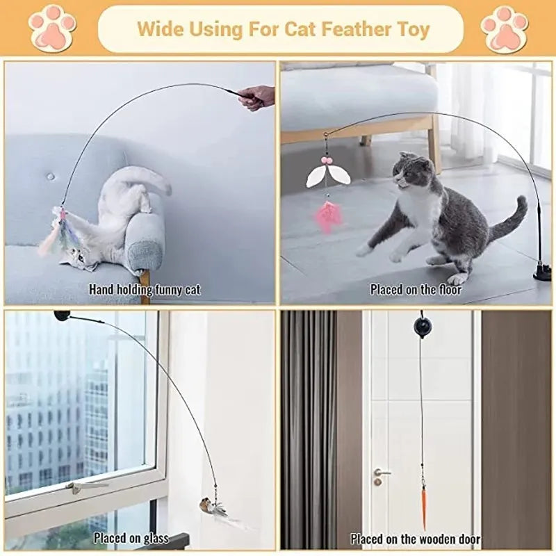 Pet Interactive Feather Toy