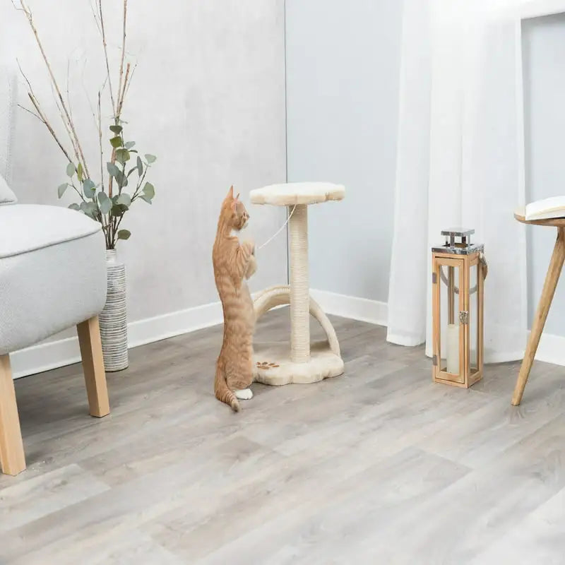 Plush Cat Scratching Tree