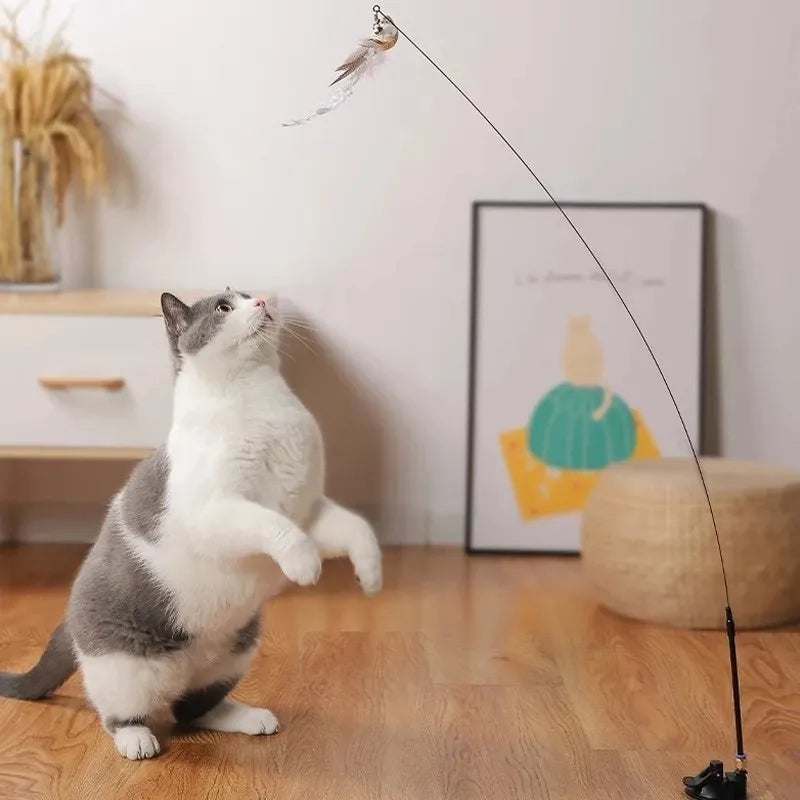 Pet Interactive Feather Toy