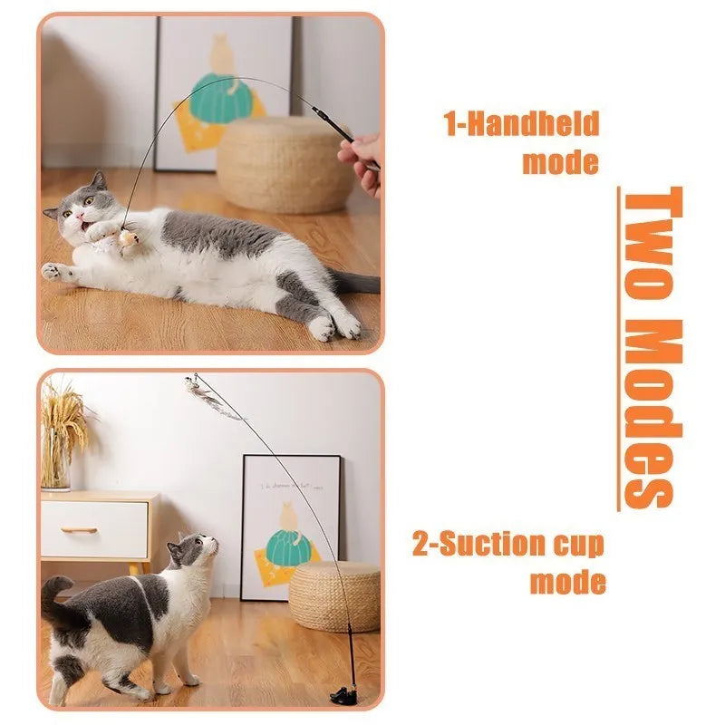 Pet Interactive Feather Toy