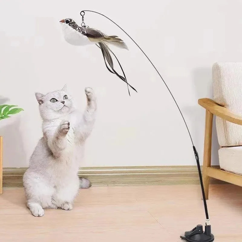 Pet Interactive Feather Toy