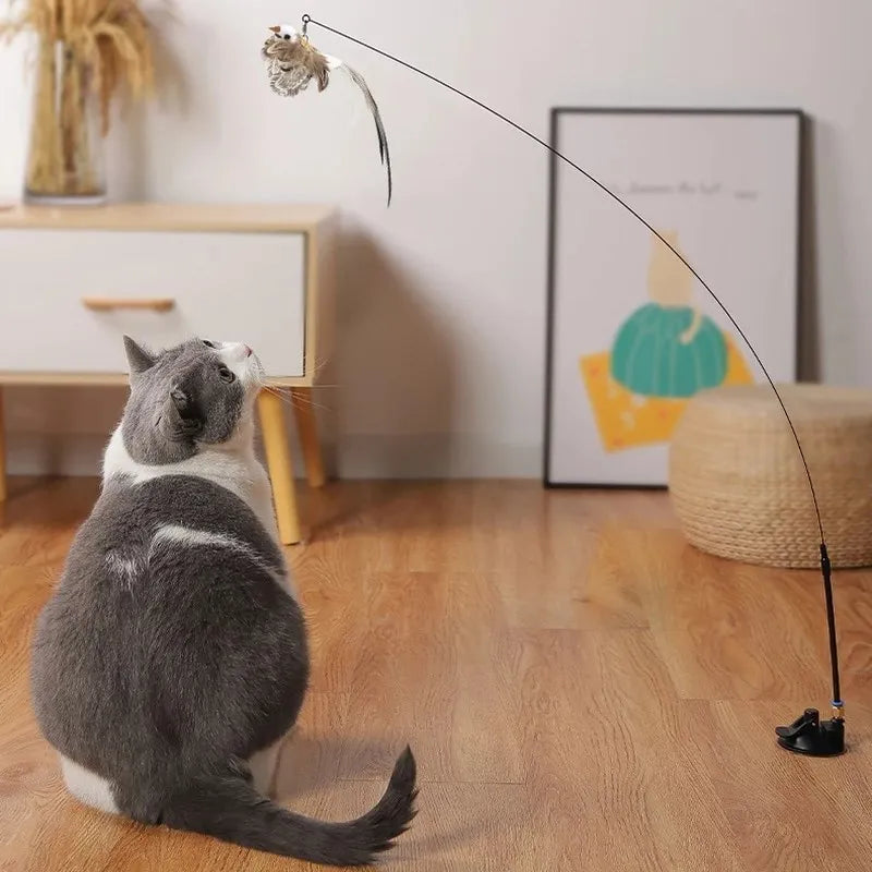 Pet Interactive Feather Toy