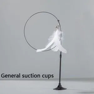 46970872791346|46970872824114