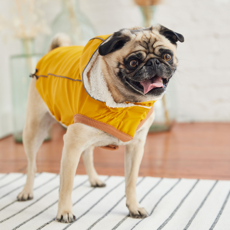 Yellow Insulated Raincoat