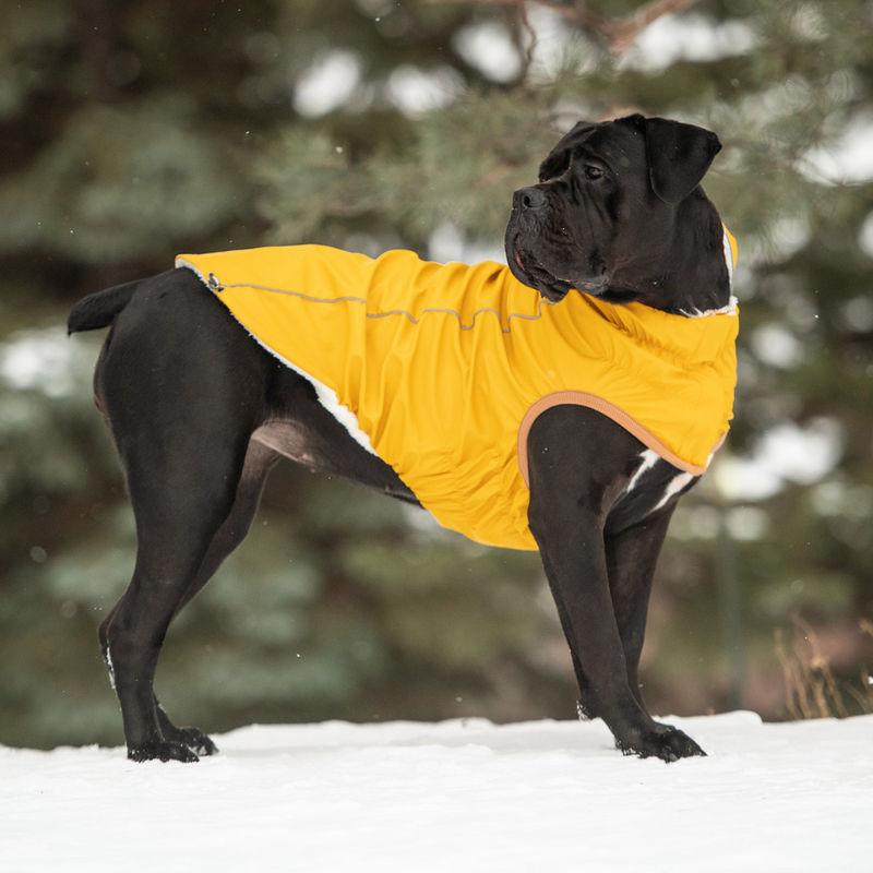 Yellow Insulated Raincoat