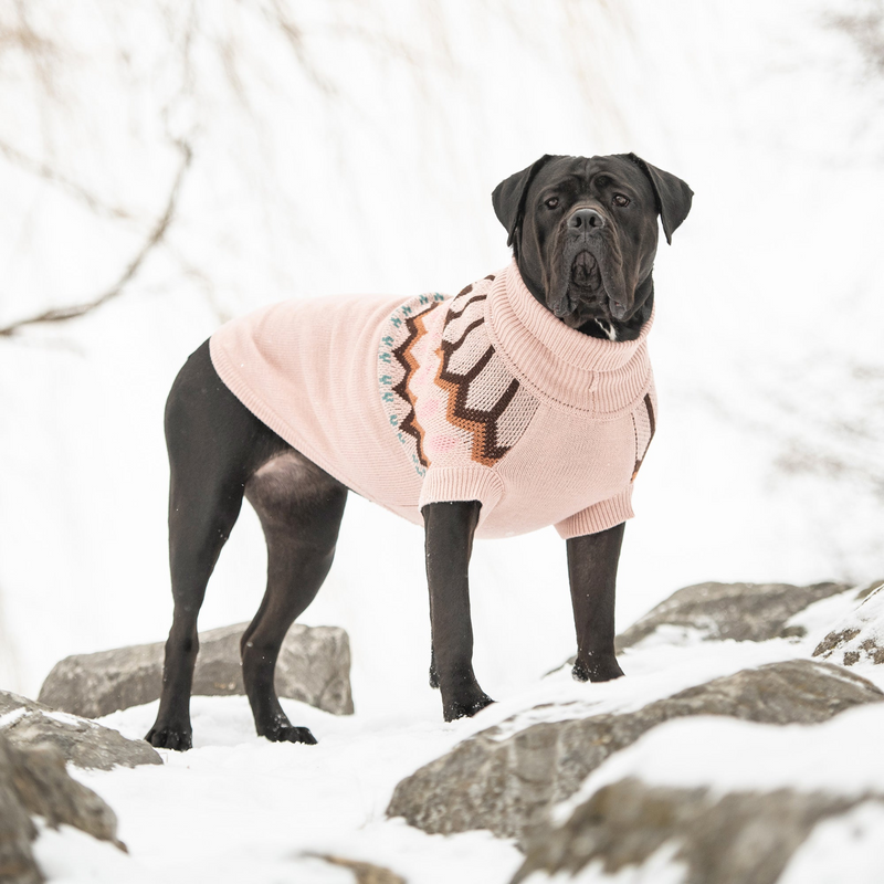 Pink Heritage Sweater