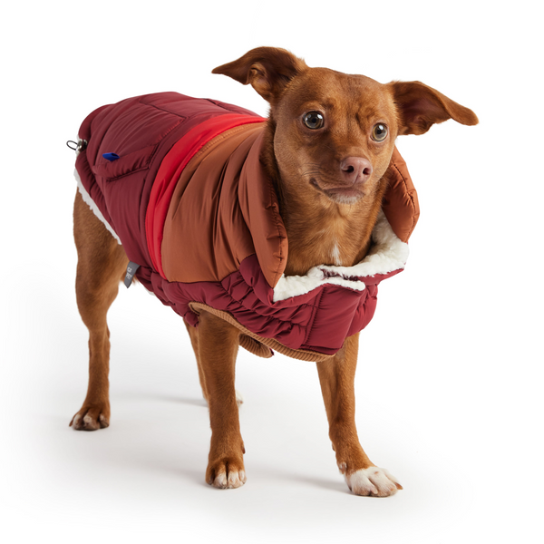 Dark Red Retro Puffer
