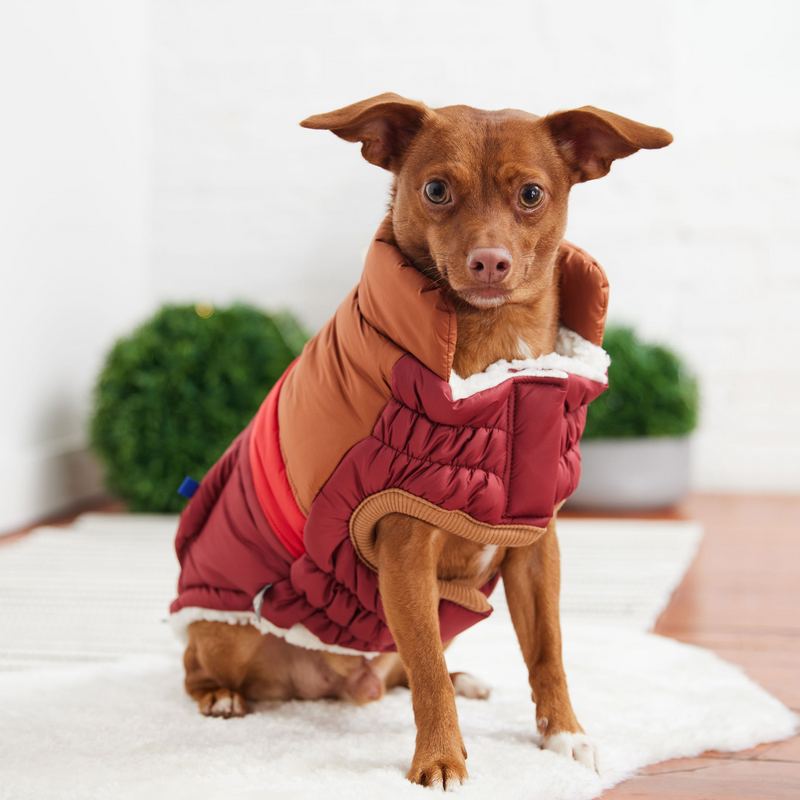 Dark Red Retro Puffer