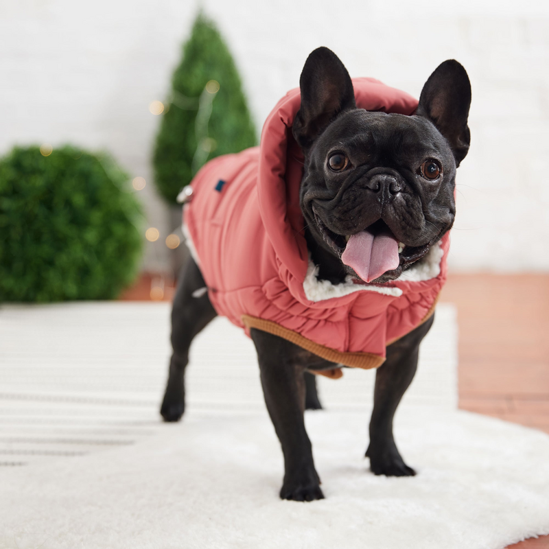 Pink Super Puff Parka