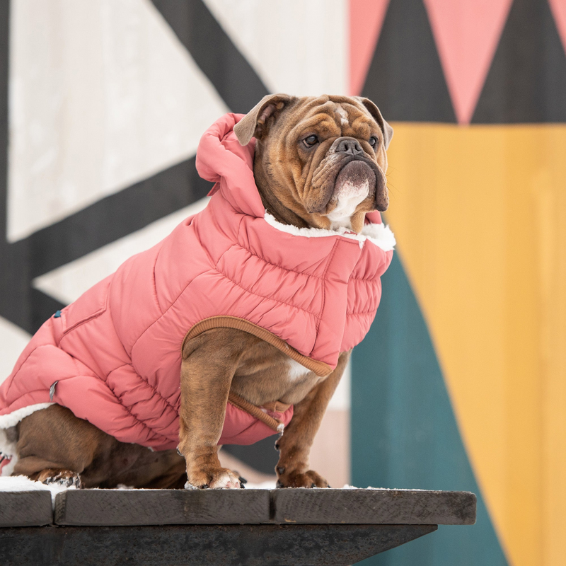 Pink Super Puff Parka
