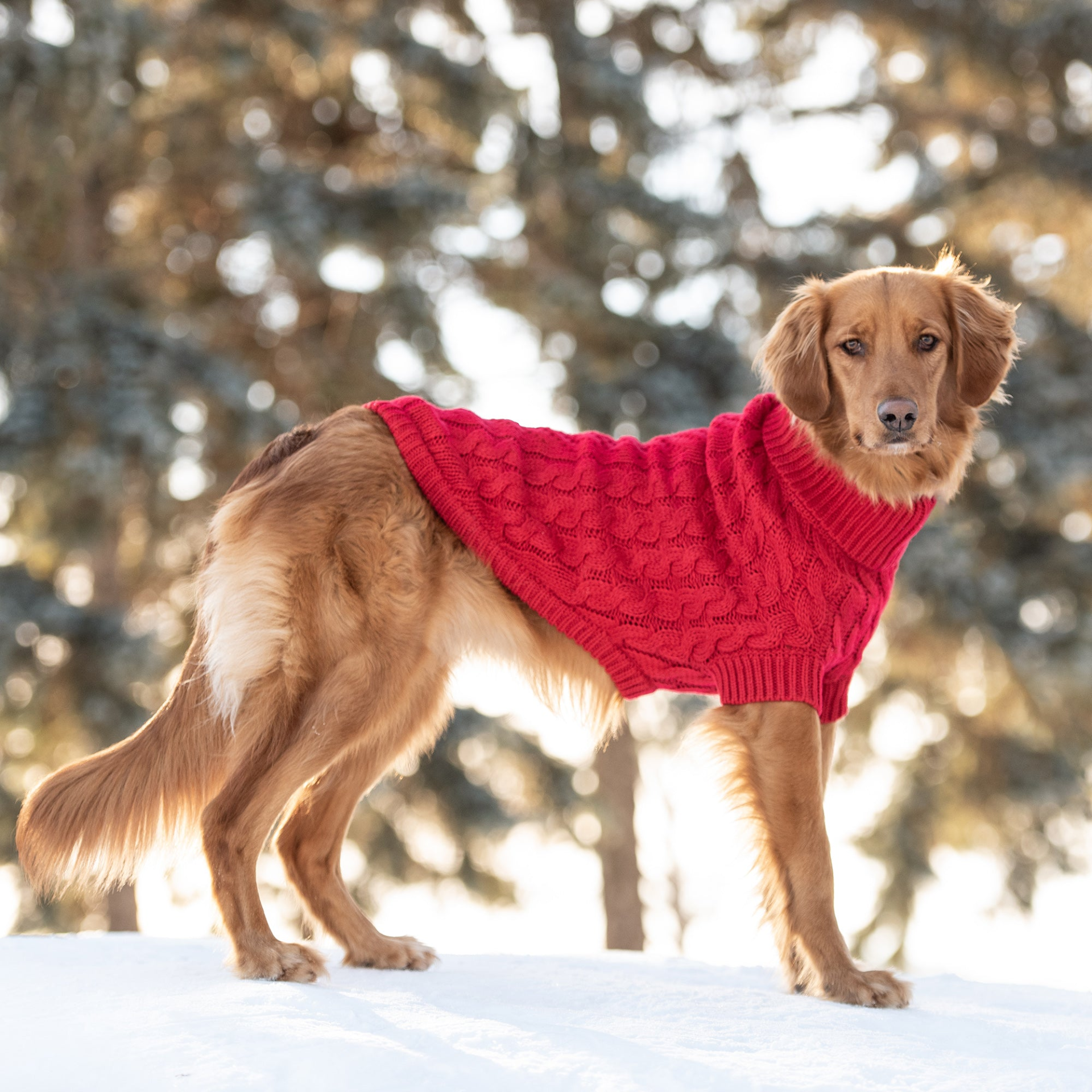 Red Chalet Sweater