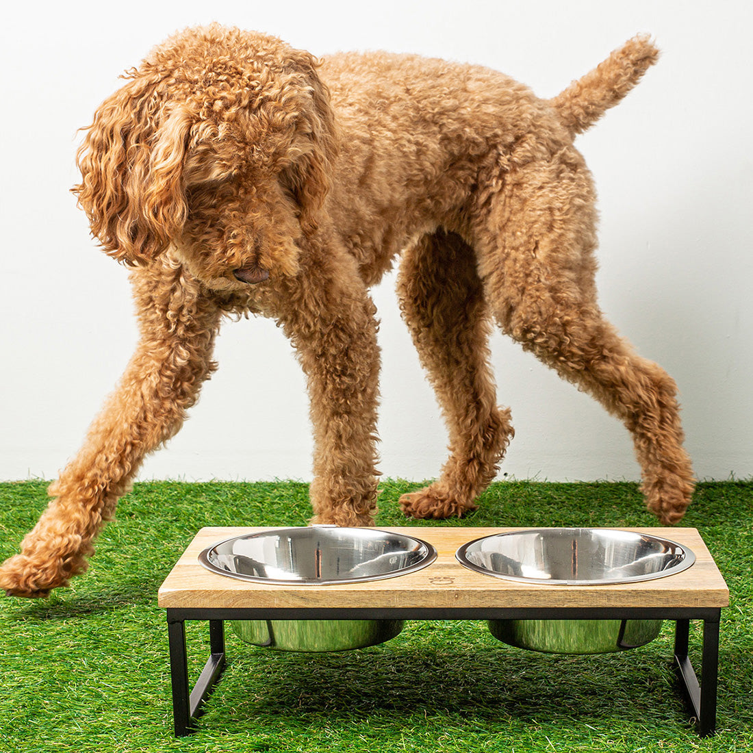 Elevated Pet Feeder