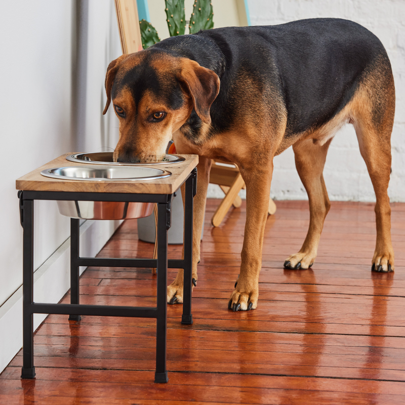 Elevated Pet Feeder