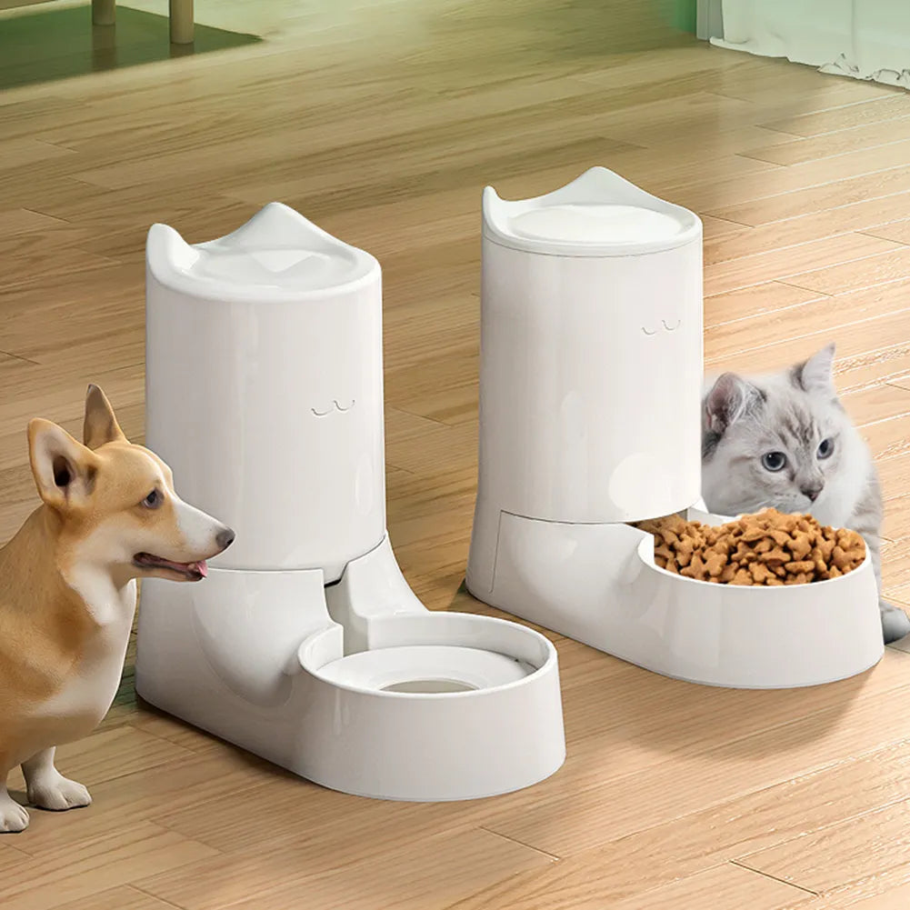 Pet Automatic Water & Food Dispenser