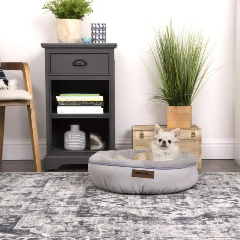 Dreamer Small Dog Bed