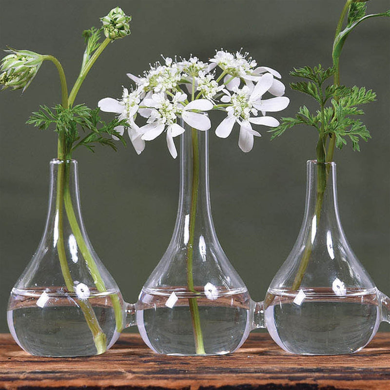Quintuplet Set of Five Joined Glass Posy Vases-1
