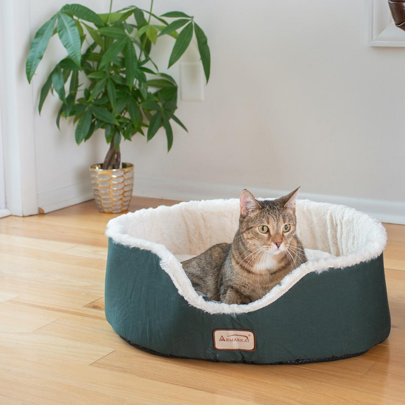 Laurel Green/Ivory Plush Small Pet Bed